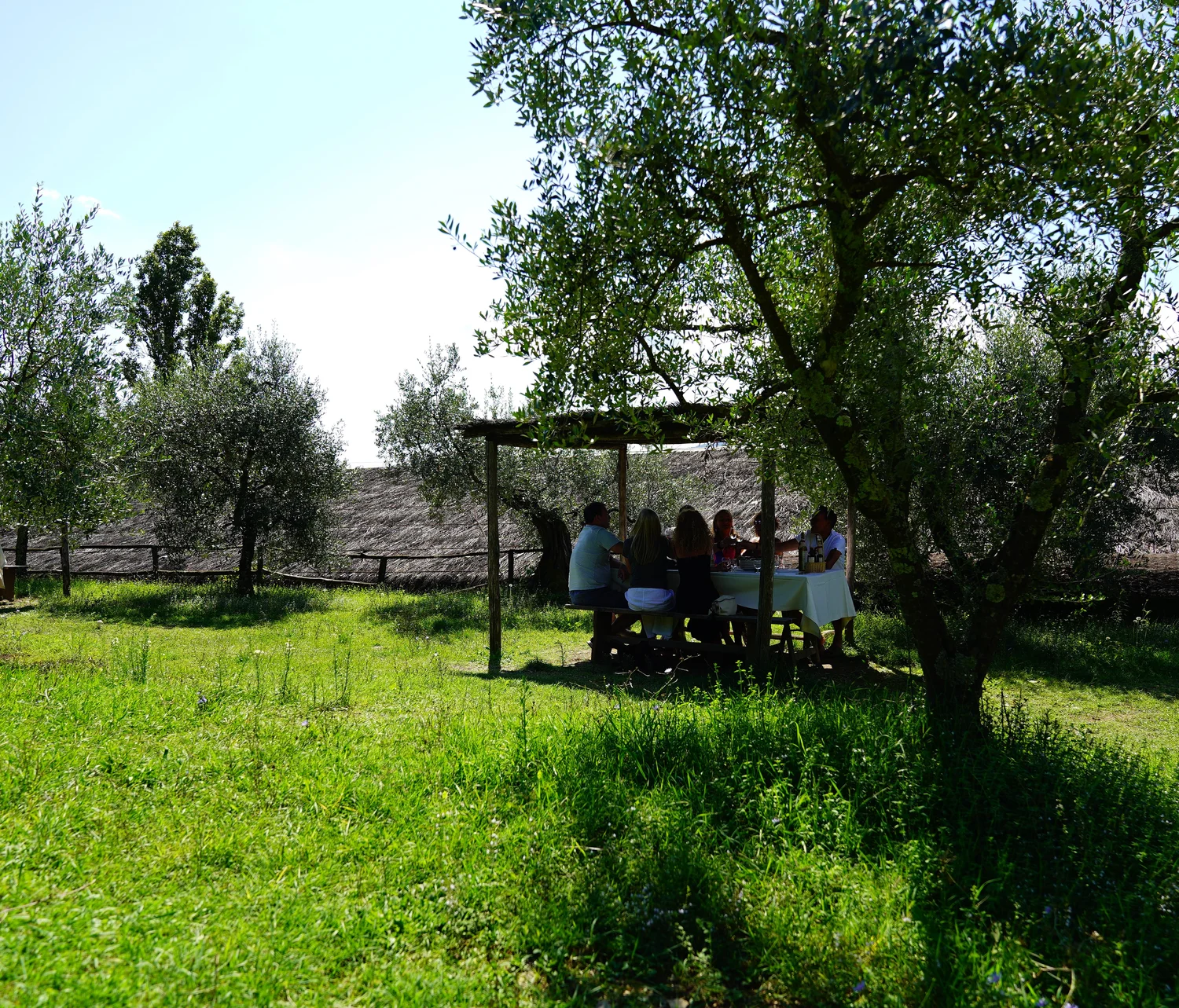 WeinSphäre - Weinkeller - Garten
